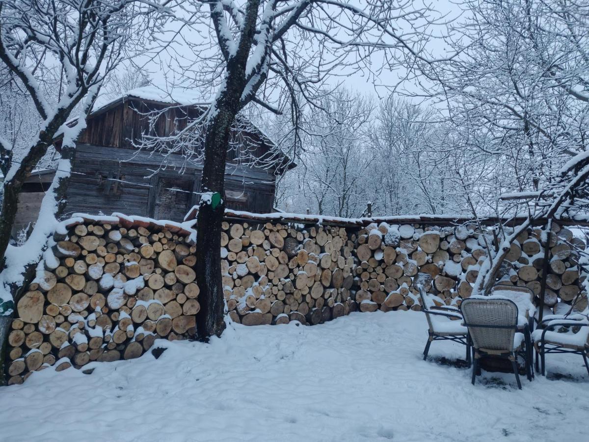Casa Padureana - Log House From 1860 Villa Hunedoara Exterior foto