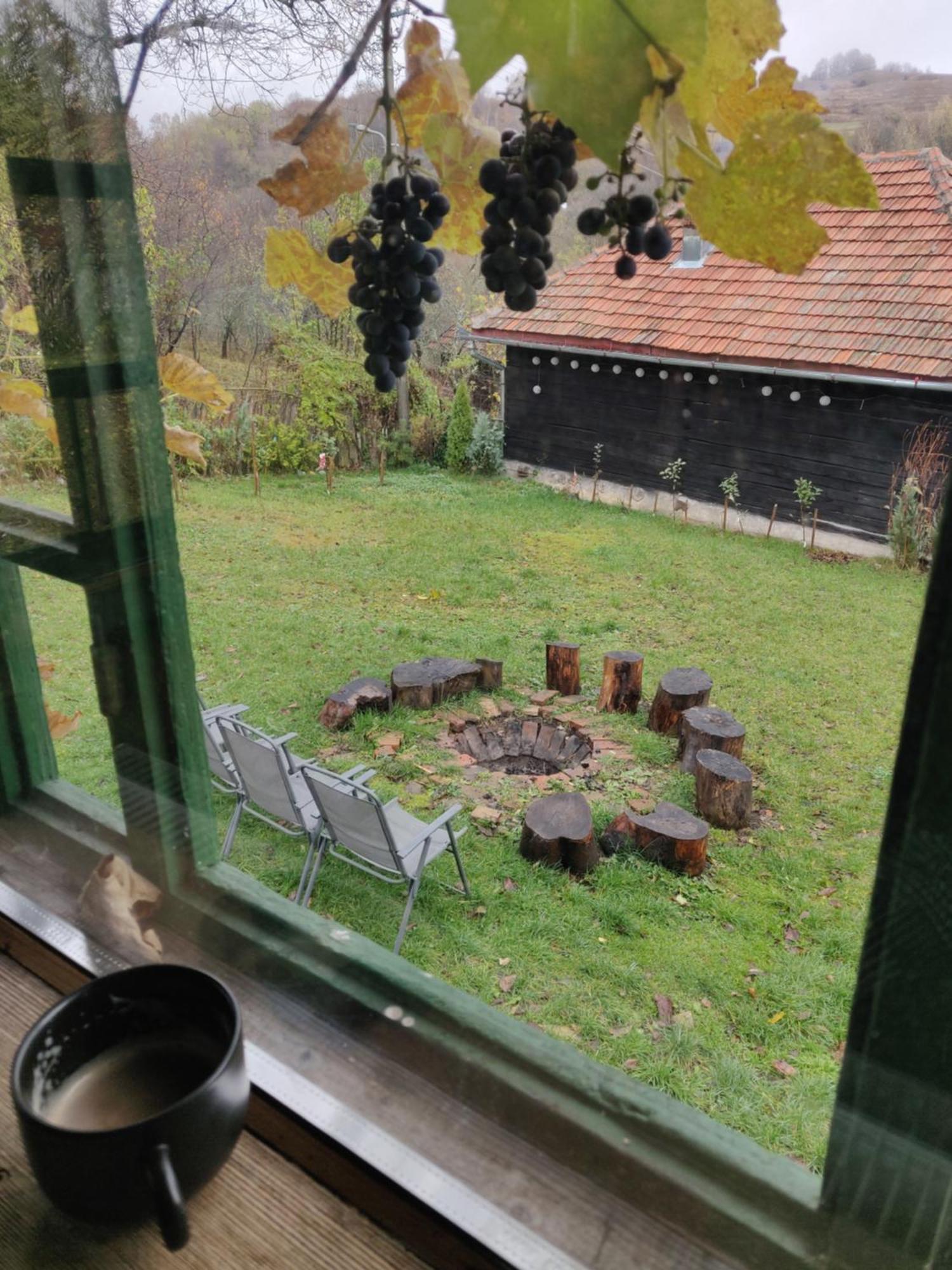 Casa Padureana - Log House From 1860 Villa Hunedoara Exterior foto